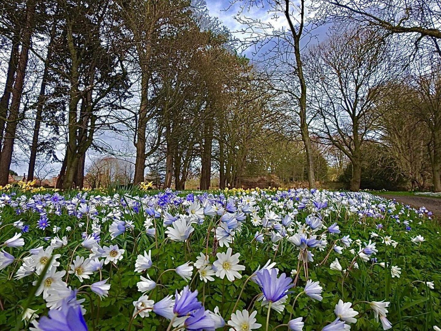 Thornton Manor - Holiday Cottages And Apartments เฮสวอลล์ ห้อง รูปภาพ